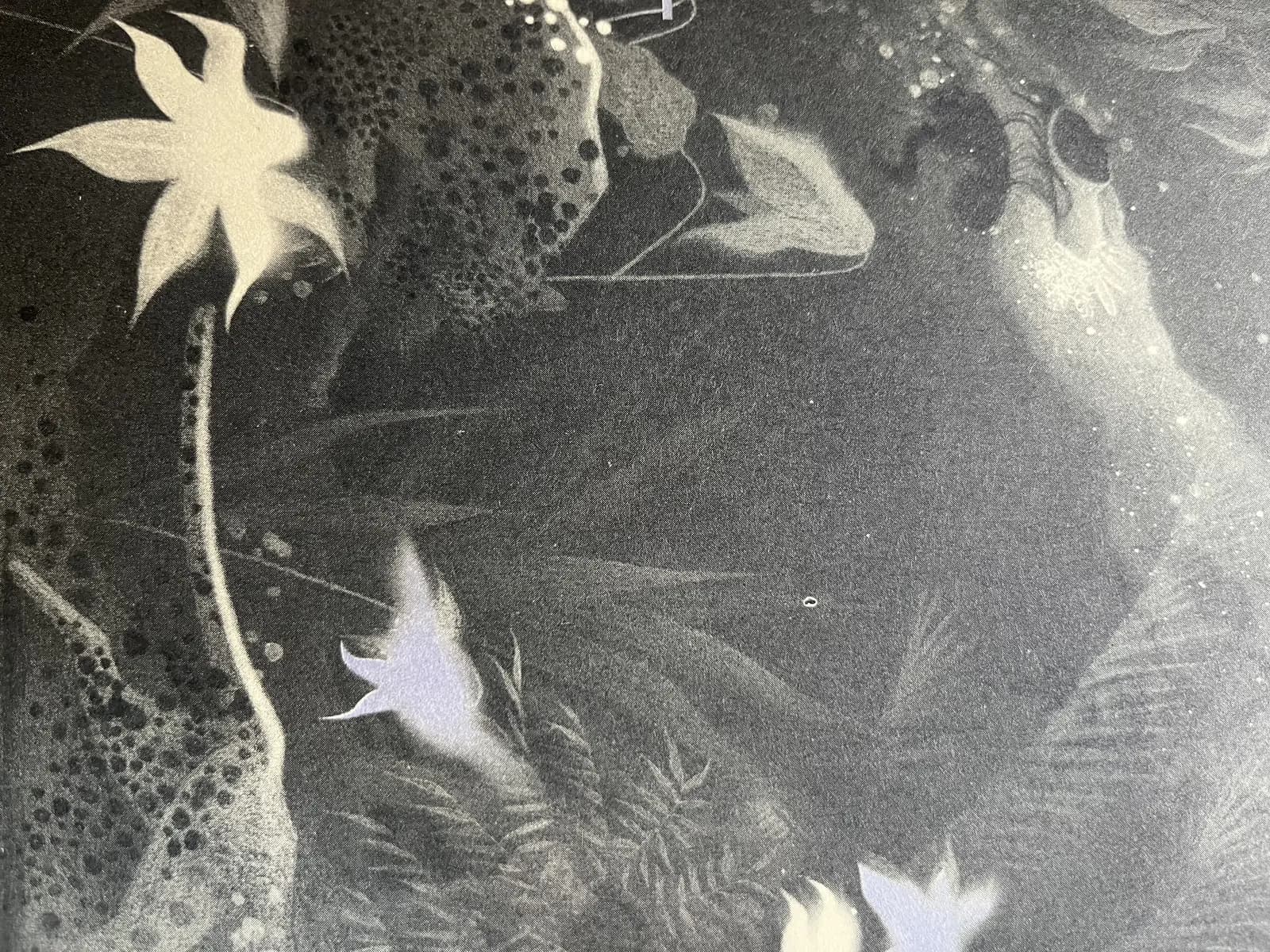 Deadeye Dick: чуже ім'я