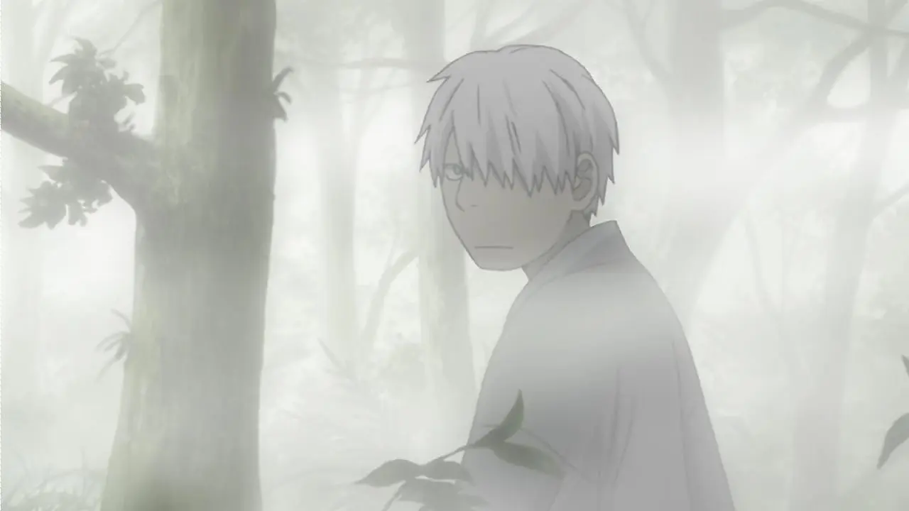 Mushishi: форма