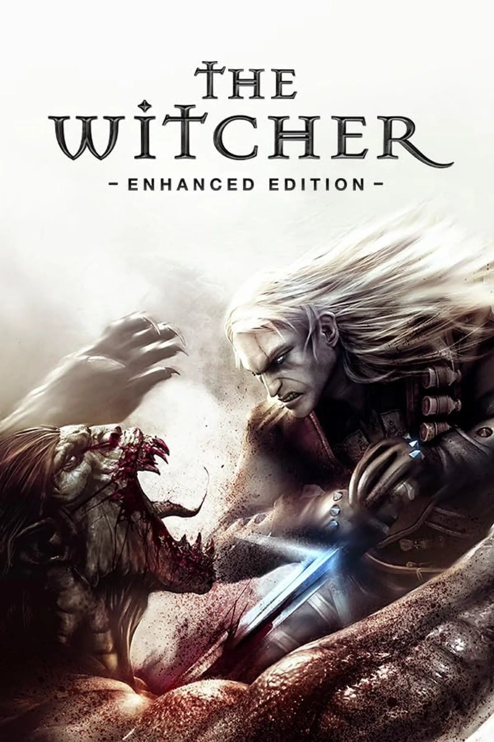 The Witcher